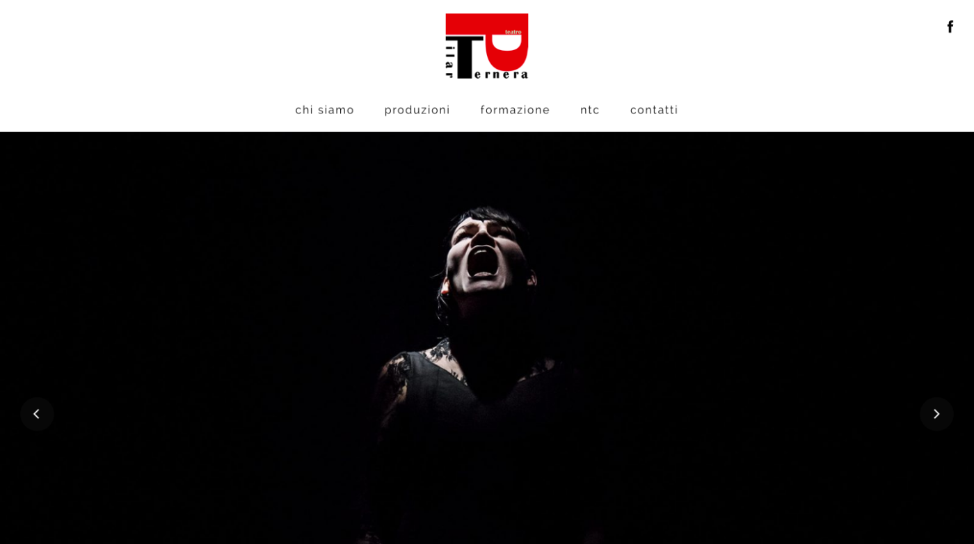 Screenshot_2020-02-14 Associazione Pilar Ternera(3)